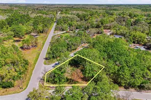 100 Fern St, New Port Richey, FL 34654 - Photo 1