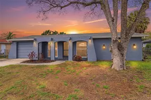 10011 Cherry Creek Ln, Port Richey, FL 34668 - Photo 1