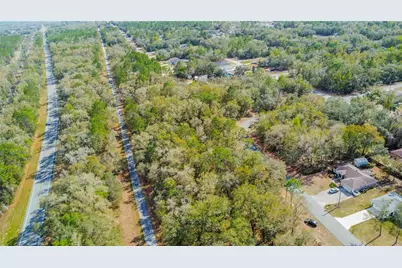 8743 N Sandree Drive, Citrus Springs, FL 34434 - Photo 11