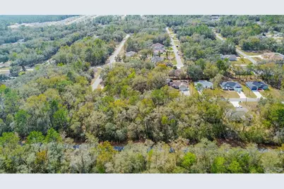 8743 N Sandree Drive, Citrus Springs, FL 34434 - Photo 13