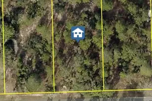 11323 Furley Ave, Weeki Wachee, FL 34613 - Photo 1