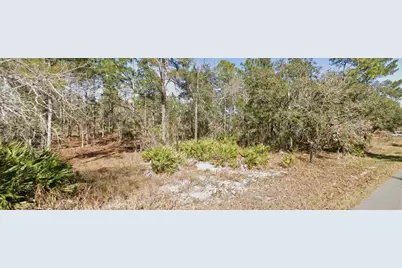 11323 Furley Avenue, Weeki Wachee, FL 34613 - Photo 3