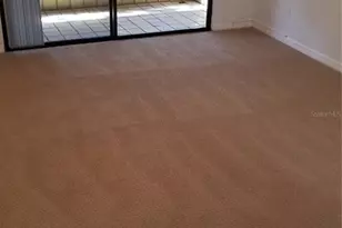 104 Old Mill Pond Rd, Palm Harbor, FL 34683 - Photo 19