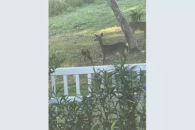 3189 S Graymor Path, Inverness, FL 34450 - Photo 45