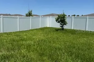 3469 Autumn Amber Dr, Spring Hill, FL 34609 - Photo 55