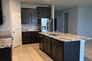 3469 Autumn Amber Dr, Spring Hill, FL 34609 - Photo 29