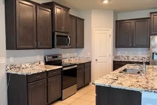 3469 Autumn Amber Dr, Spring Hill, FL 34609 - Photo 3