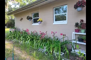 9451 NE 111 St, Archer, FL 32618 - Photo 3