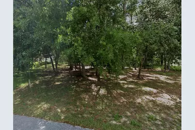 34027 Congressional Avenue, Dade City, FL 33523 - Photo 5