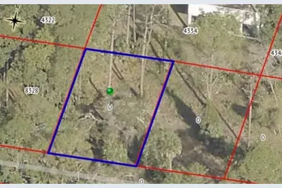 Driftwood Drive, Weeki Wachee, FL 34607 - Photo 3