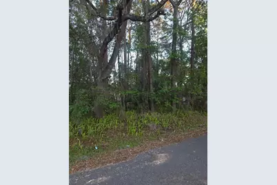 0 Bethune Street, Brooksville, FL 34601 - Photo 1