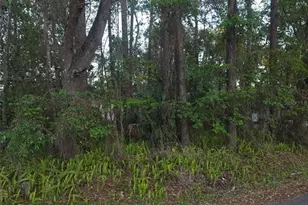 0 Bethune St, Brooksville, FL 34601 - Photo 1