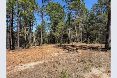 00000 SE 58th Place, Morriston, FL 32668 - Photo 1