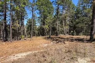 00000 SE 58th Pl, Morriston, FL 32668 - Photo 1