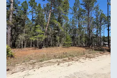 00000 SE 58th Place, Morriston, FL 32668 - Photo 3