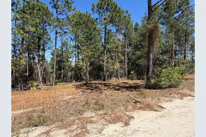 00000 SE 58th Place, Morriston, FL 32668 - Photo 5