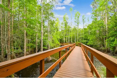 21314 Marsh Hawk Drive, Land O Lakes, FL 34638 - Photo 93