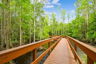 21314 Marsh Hawk Dr, Land O Lakes, FL 34638 - Photo 93