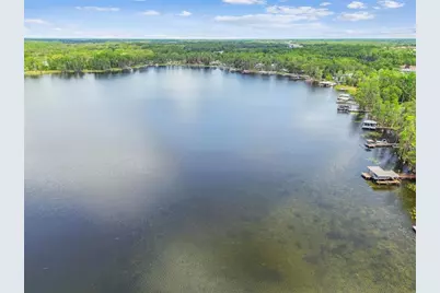 21314 Marsh Hawk Drive, Land O Lakes, FL 34638 - Photo 91
