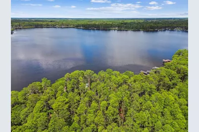 21314 Marsh Hawk Drive, Land O Lakes, FL 34638 - Photo 87