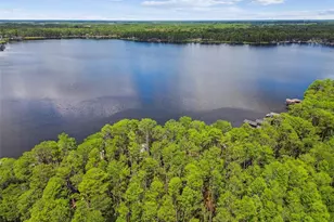 21314 Marsh Hawk Dr, Land O Lakes, FL 34638 - Photo 87