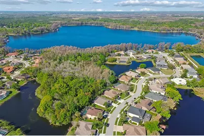 21314 Marsh Hawk Drive, Land O Lakes, FL 34638 - Photo 73