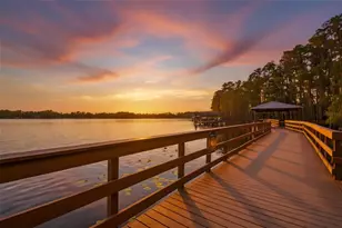 21314 Marsh Hawk Dr, Land O Lakes, FL 34638 - Photo 95