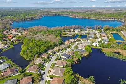 21314 Marsh Hawk Drive, Land O Lakes, FL 34638 - Photo 75