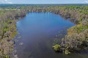 21314 Marsh Hawk Dr, Land O Lakes, FL 34638 - Photo 87