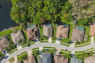 21314 Marsh Hawk Dr, Land O Lakes, FL 34638 - Photo 77