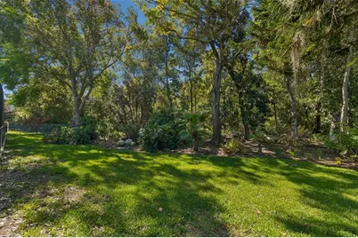 21314 Marsh Hawk Drive, Land O Lakes, FL 34638 - Photo 53