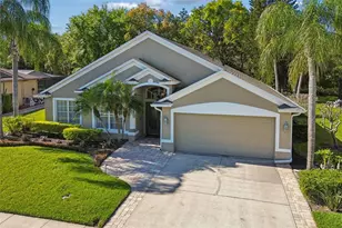 21314 Marsh Hawk Dr, Land O Lakes, FL 34638 - Photo 59