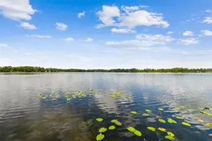 21314 Marsh Hawk Dr, Land O Lakes, FL 34638 - Photo 95