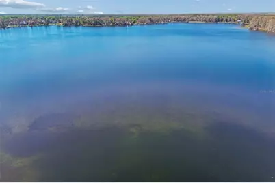 21314 Marsh Hawk Drive, Land O Lakes, FL 34638 - Photo 81