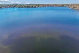 21314 Marsh Hawk Dr, Land O Lakes, FL 34638 - Photo 81