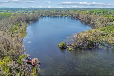 21314 Marsh Hawk Drive, Land O Lakes, FL 34638 - Photo 85