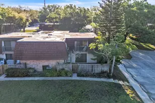 2605 10th Ct, Palm Harbor, FL 34684 - Photo 3