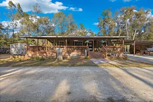 5850 NW 50th St, Bell, FL 32619 - Photo 3