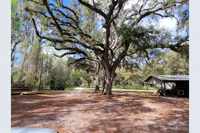 22397 Mondon Hill Road, Brooksville, FL 34601 - Photo 5