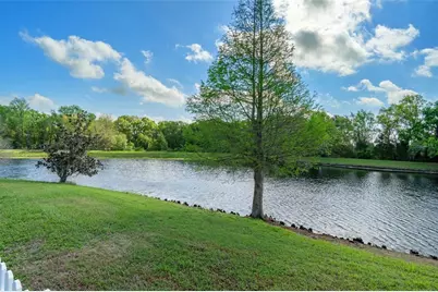31812 Spoonflower Circle, Wesley Chapel, FL 33545 - Photo 5