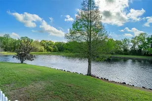 31812 Spoonflower Cir, Wesley Chapel, FL 33545 - Photo 5