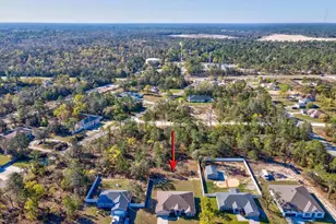 12136 Millington Ave, Weeki Wachee, FL 34614 - Photo 47