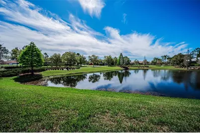 11891 Frost Aster Drive, Riverview, FL 33579 - Photo 79