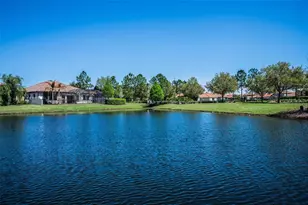 11891 Frost Aster Dr, Riverview, FL 33579 - Photo 87