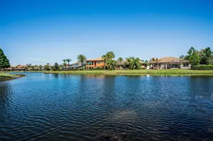 11891 Frost Aster Dr, Riverview, FL 33579 - Photo 89