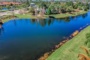 11891 Frost Aster Dr, Riverview, FL 33579 - Photo 99