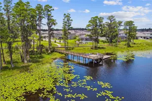 19779 Morsani Rd, Lutz, FL 33558 - Photo 93