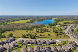 19779 Morsani Rd, Lutz, FL 33558 - Photo 51
