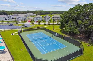 19779 Morsani Rd, Lutz, FL 33558 - Photo 67