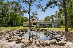 10801 Alico Pass, New Port Richey, FL 34655 - Photo 57